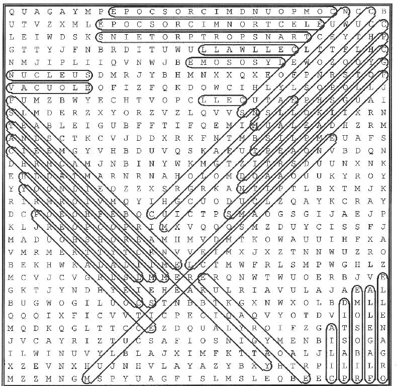 Biology Word Search Answers