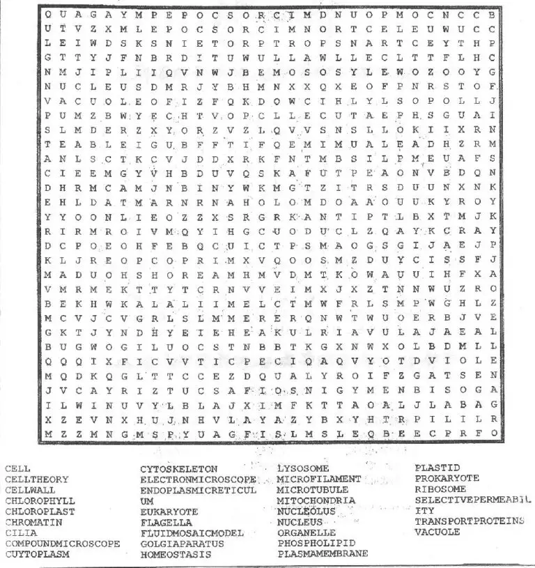 Cells Word Search Puzzle - Science Classroom Teacher Resources