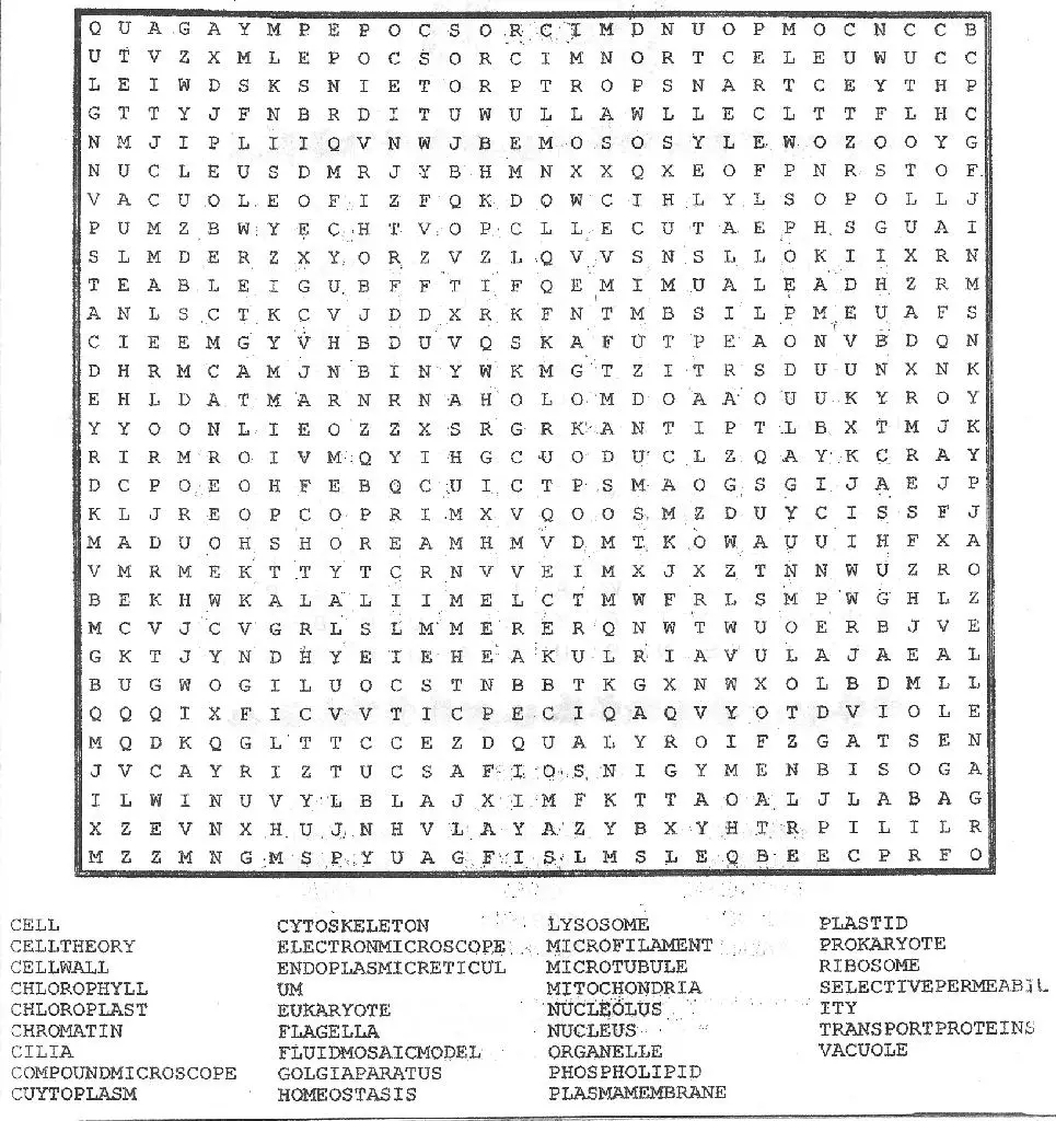 Atoms And Molecules Word Search Dasneon